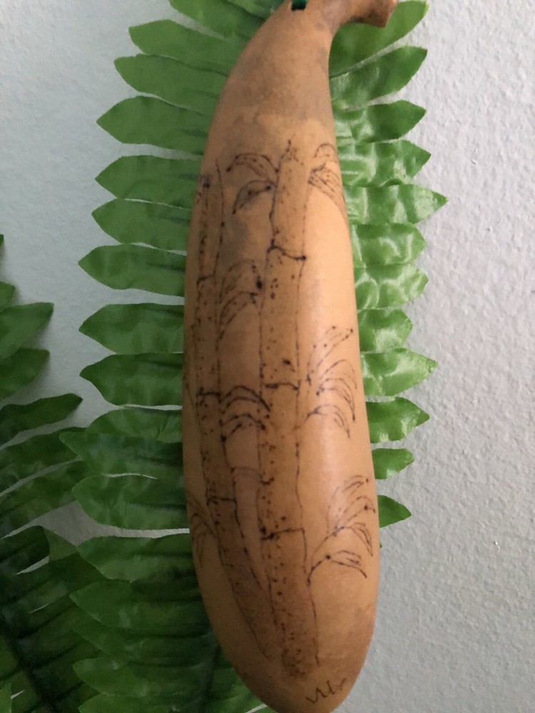 Fresh Bamboo Ornament Gourd Garden Collection