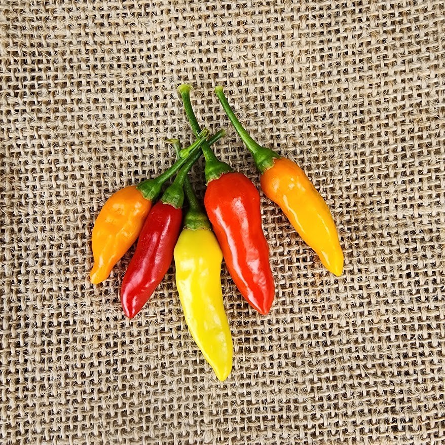 🔥 Premium Tabasco Chili Flakes – Small Batch • Artisan Process • Net Wt. 1.5 oz