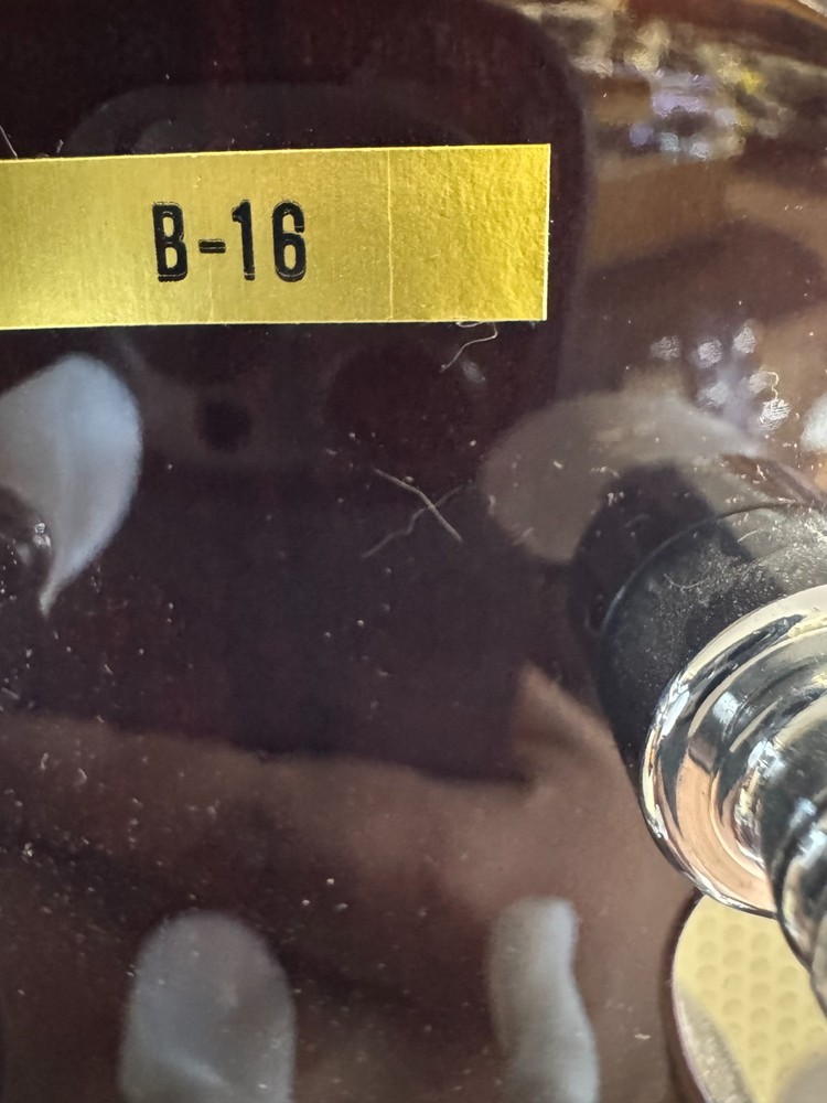 Banjo Washburn B16 #66038-1 YM