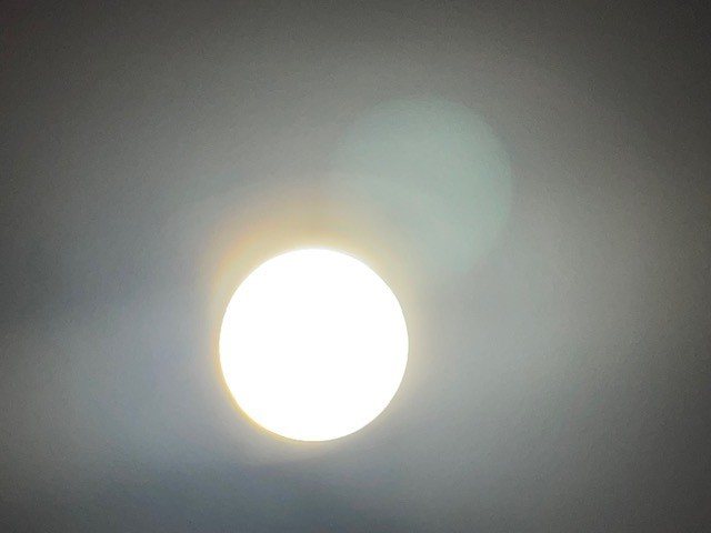 5 Cystoscope by / ACMI / WOLF / Auto Suture / See Description!