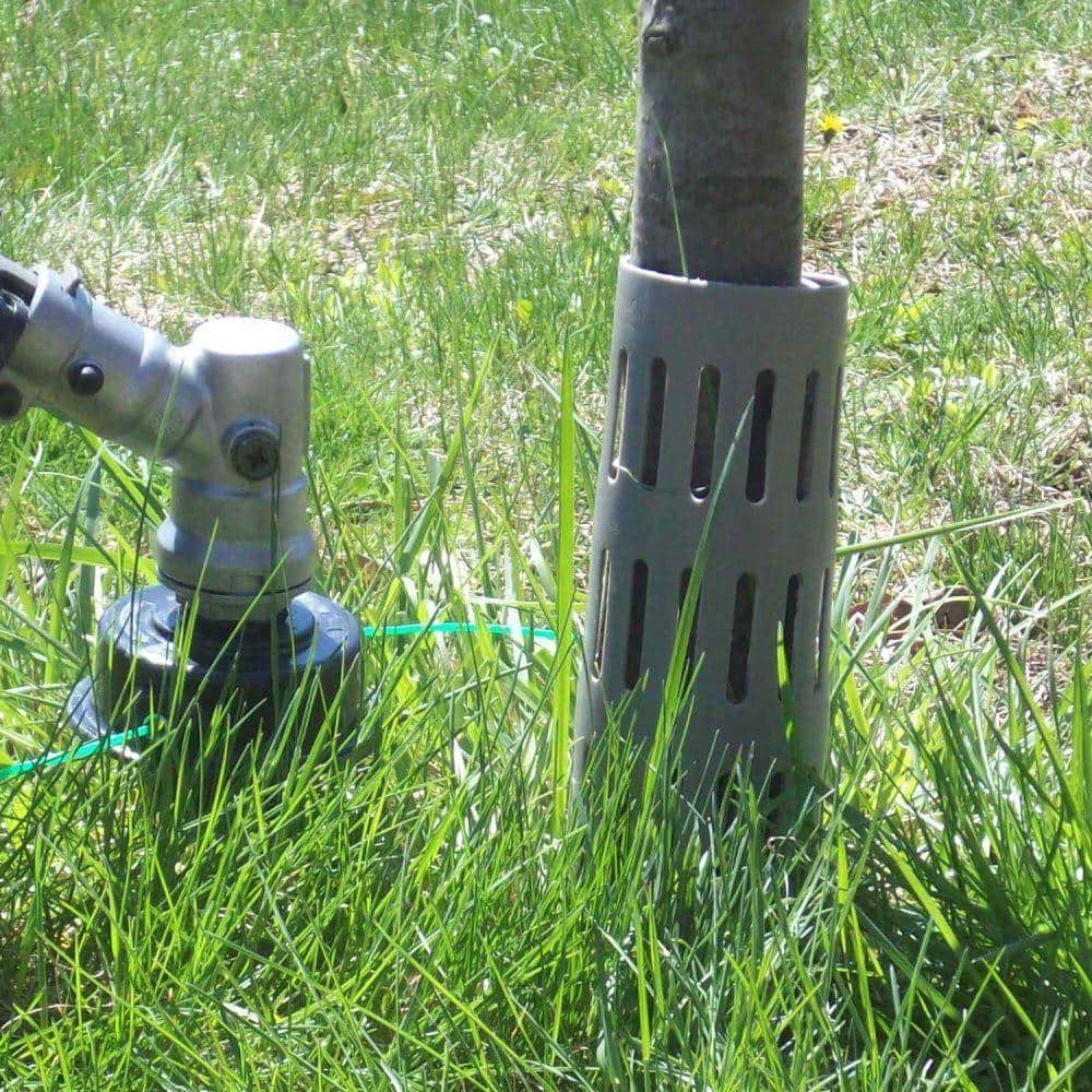 Protect Tree Trunk Protector 6-Pack