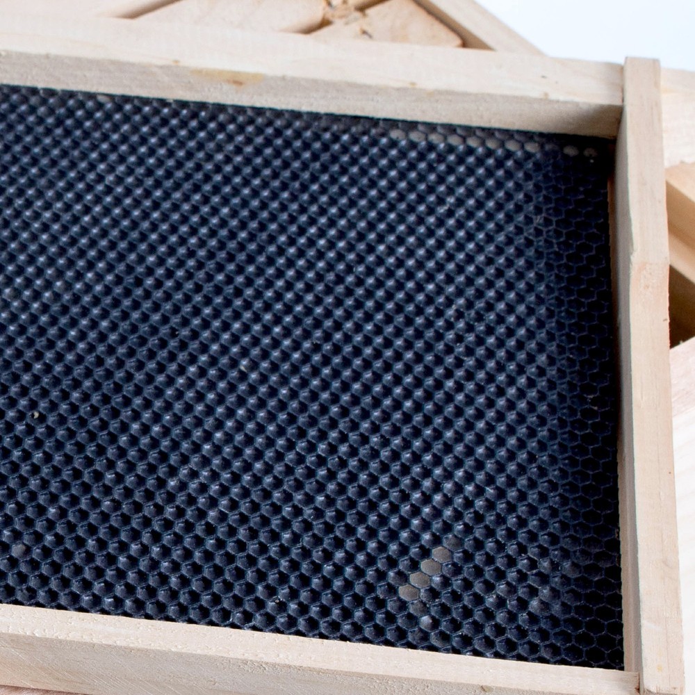 8 Frame Deep Assembled Beekeeping Box, Plastic Foundation Frames, Amish Made
