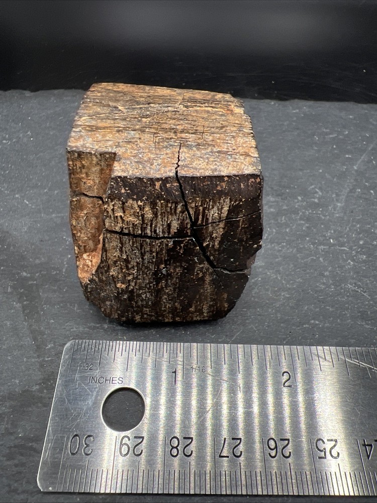 232g Petrified Wood Block Stone