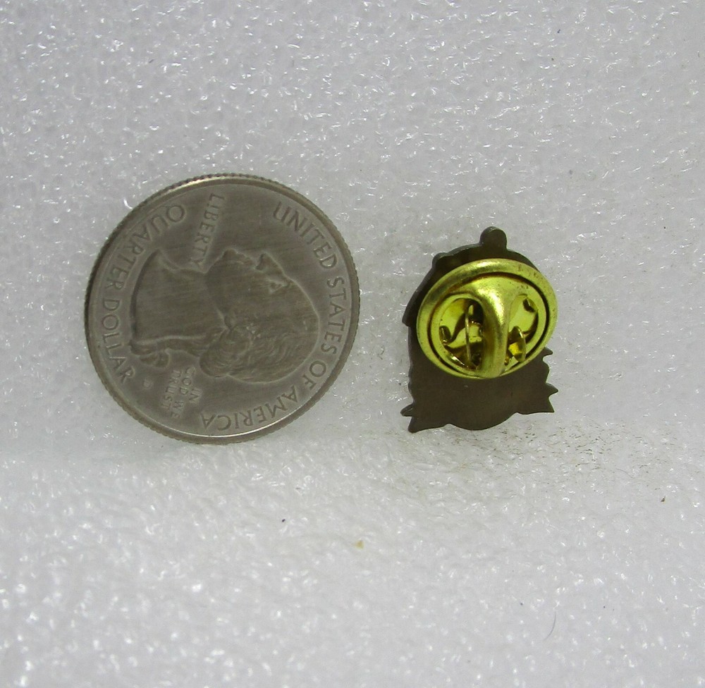 I Care Pin