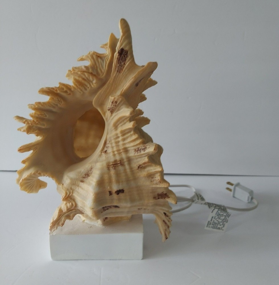 Cracker Barrel Shell Accent Light Standard 120 V Wall Outlet