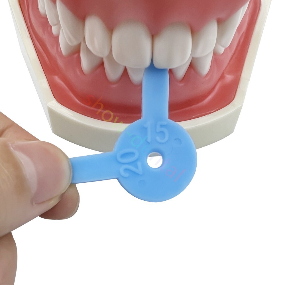 Dental Interproximal Fleximeter Strips Teeth Gap Bite Occlusion Messure Ruler