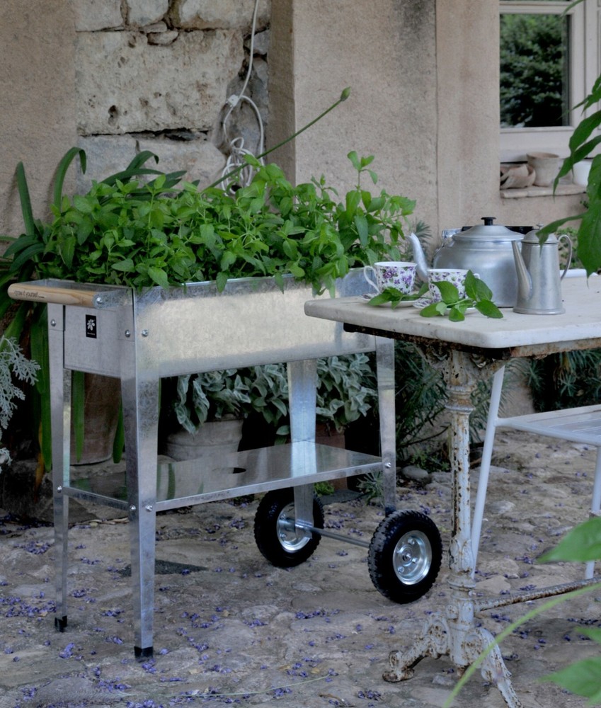 Herstera Garden Trolley Planter, Galvanized