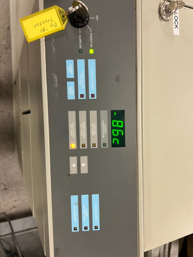 thermo fisher scientific Freezer
