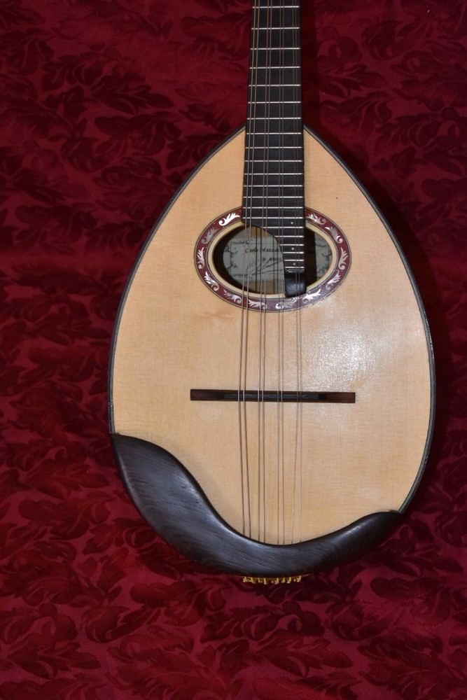German style mandolin. UNIQUE! 德国风格的曼陀林。独特! 。