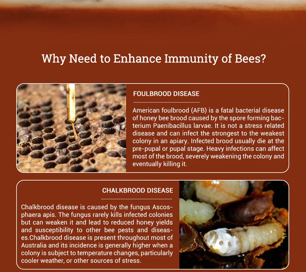 Improve Immunity for Bees,Assisted Treatment ,Beekeeping
