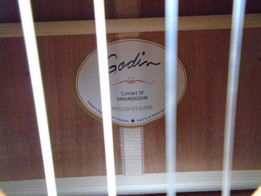 Godin Concert Classical Guitar SF