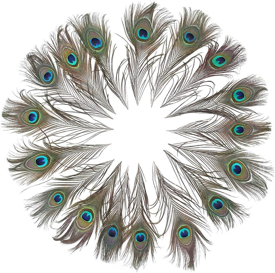 120 Real Peacock Feathers (10-12 inch) for Unique DIY Projects & Decorations