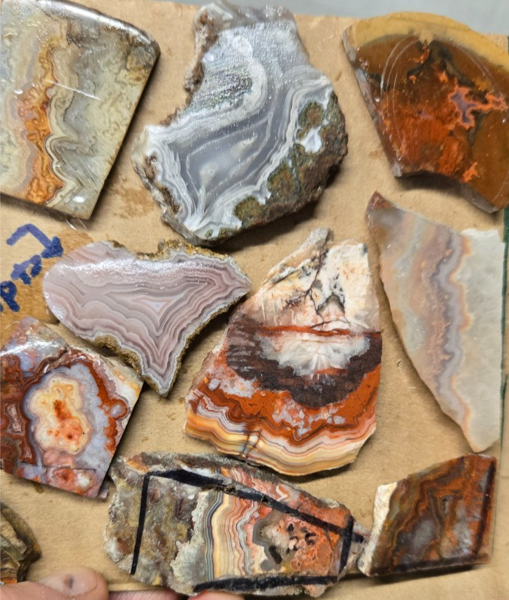 Assorted Lace Agates, Trimmed Cabochon Slabs Preforms 16 Pcs, Flat 116