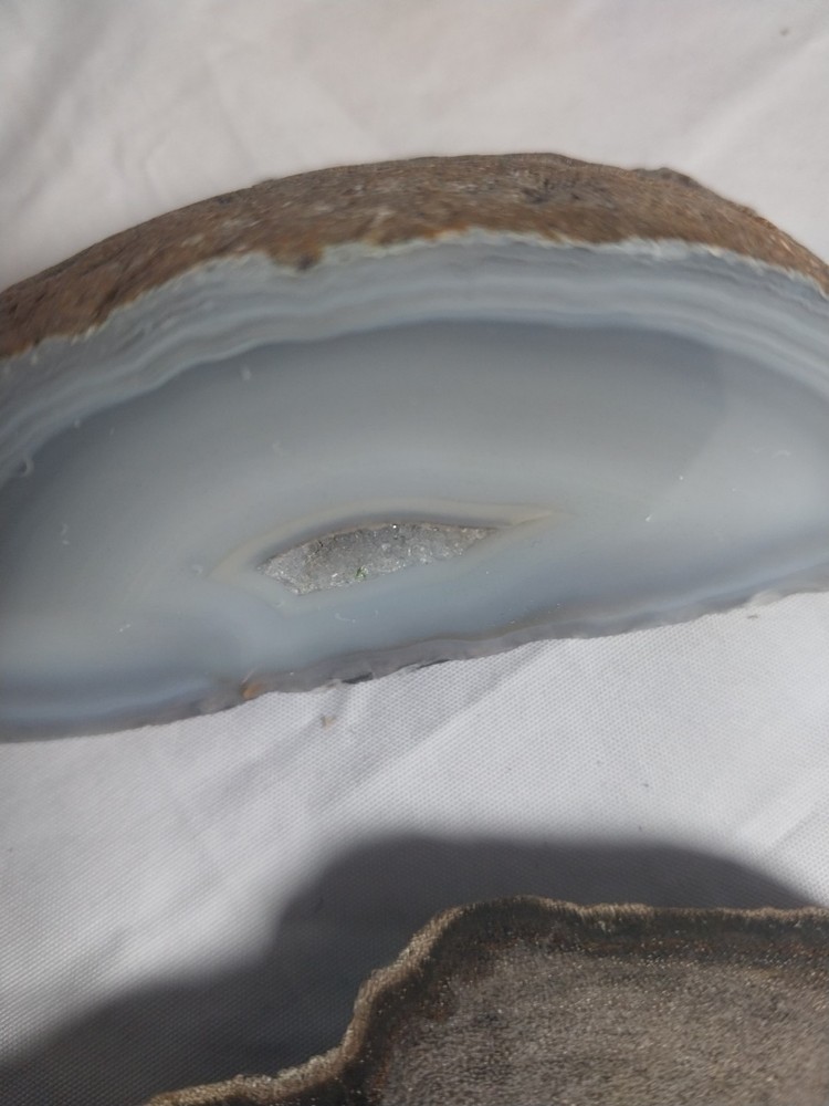 Petrified Wood, Half Geode Polished