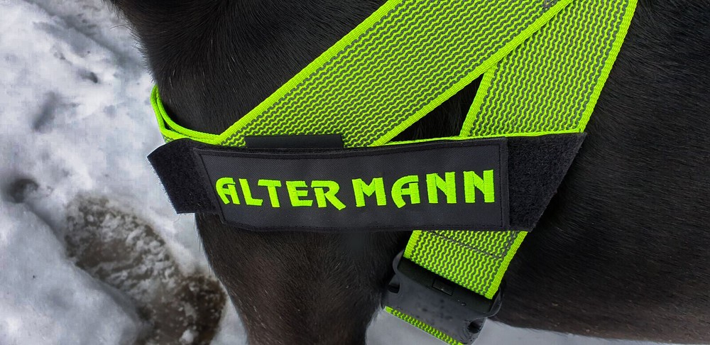 Custom NAME Patch Dog Harness Personalized Embroidered TAG ID K9 Label Service