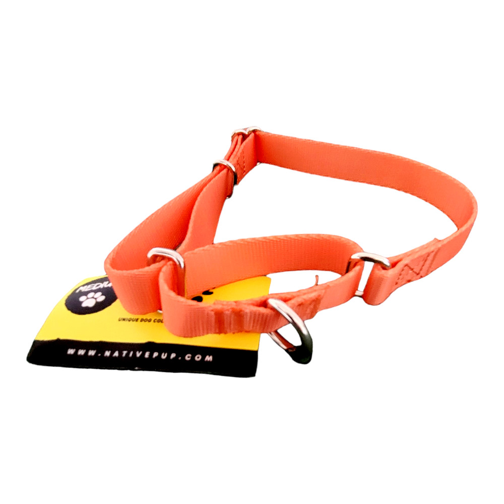 Martingale Dog Training Size Medium Orange Nylon Adjustable  13"- 21" By Native