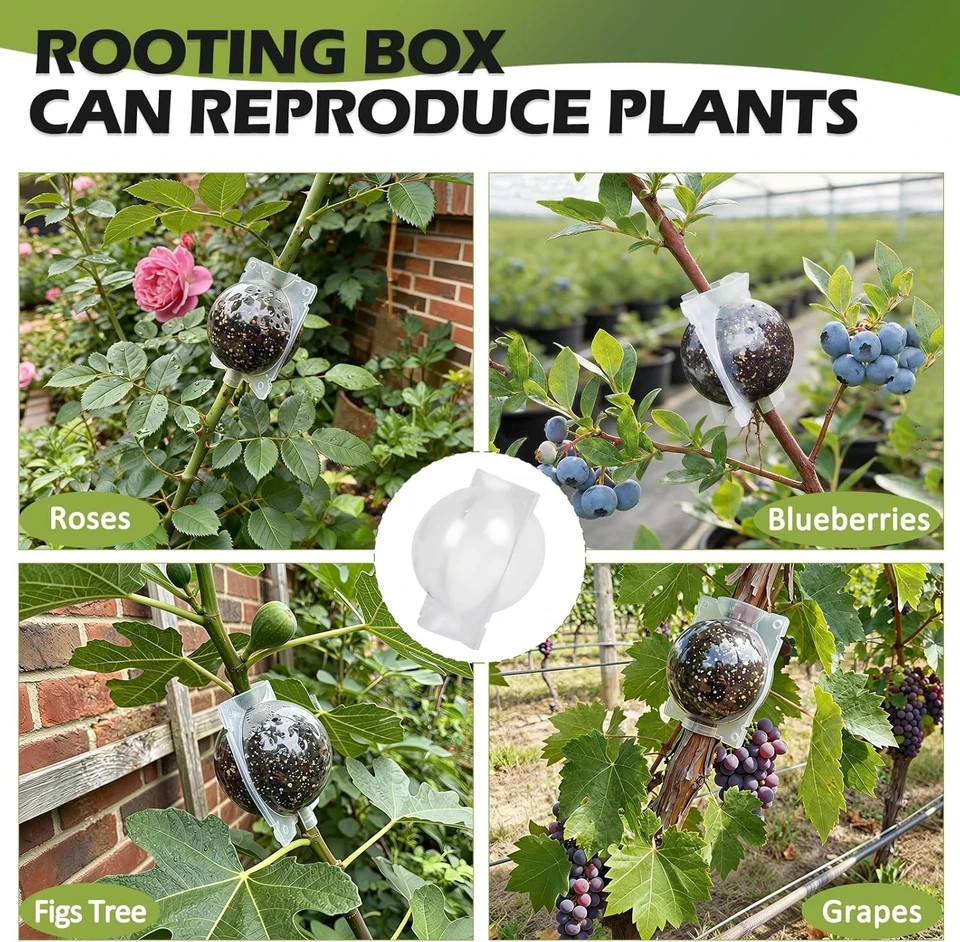 Tree Root Growing Box, Air Layering Pods Propagation Kit, Reusable Half Transpar
