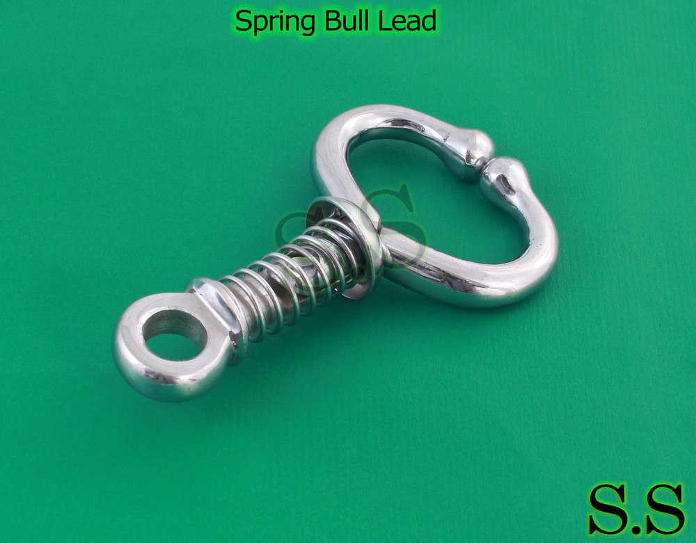 Spring Bull Lead Veterinary Instruments New