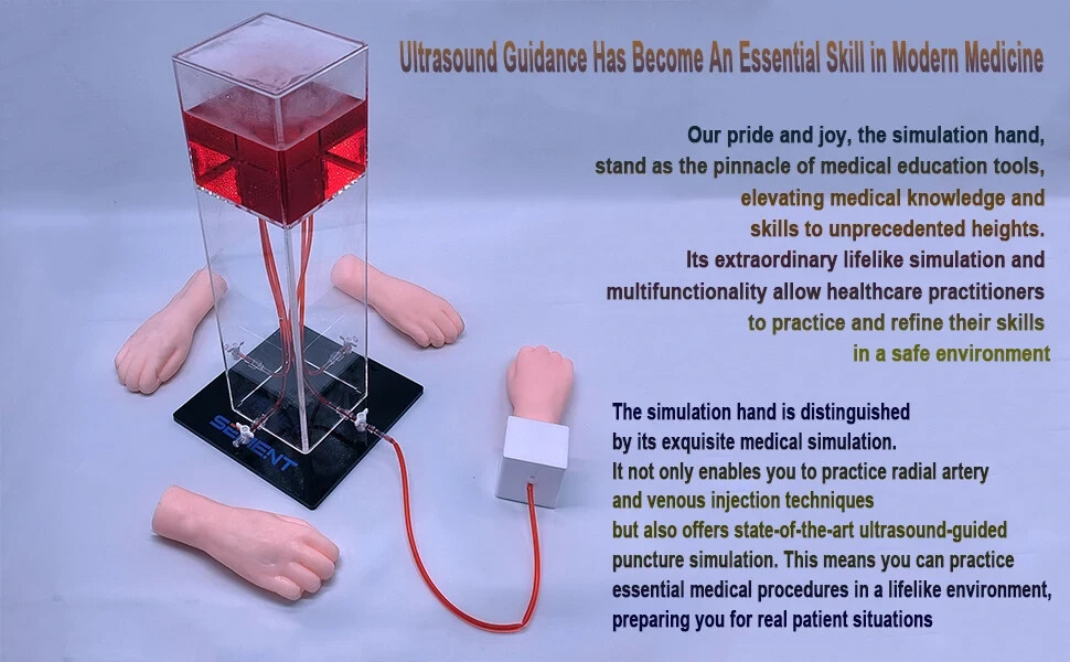 Advanced Medical Simulation Palms Precise Ultrasound Guidance Simulator 1 hand
