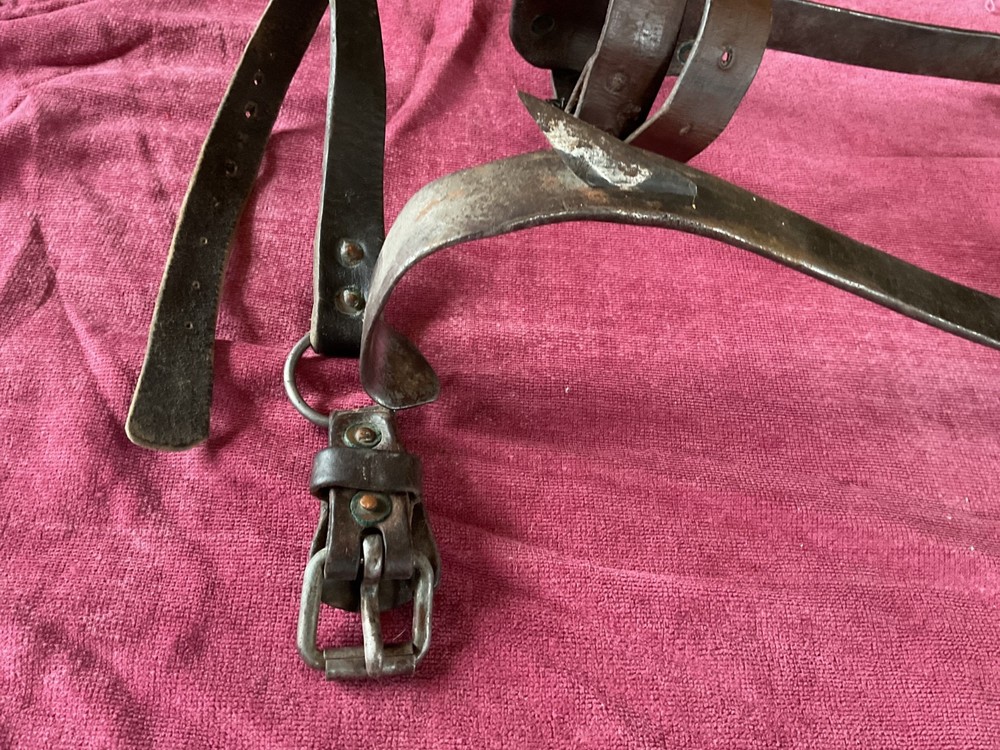 buckingham vintage pole climbers