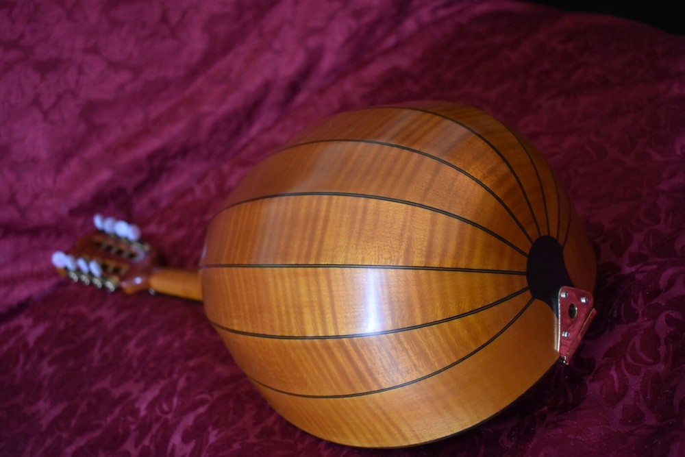 German style mandolin. UNIQUE! 德国风格的曼陀林。独特！ 。
