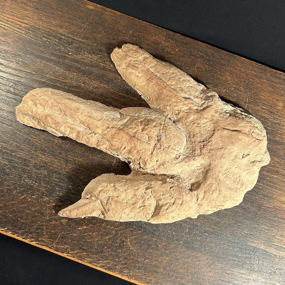 Vintage Dinosaur Footprint Plaster Cast Mold PRIORITY MAIL