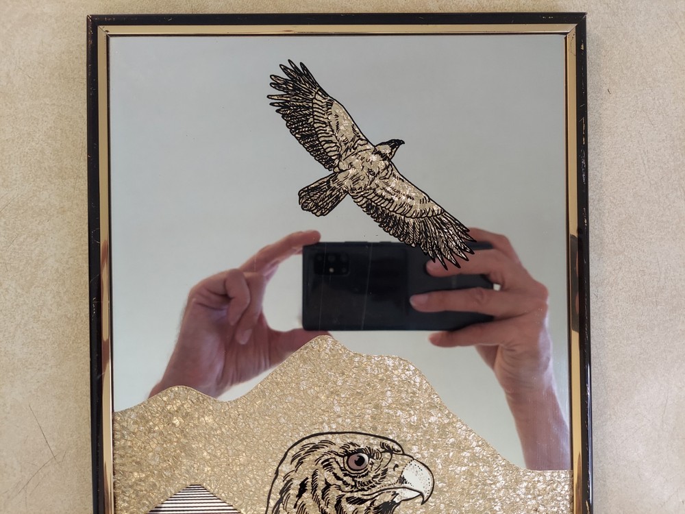 Vintage Glittery Eagle Mountains Mirror Plastic 20"x8"