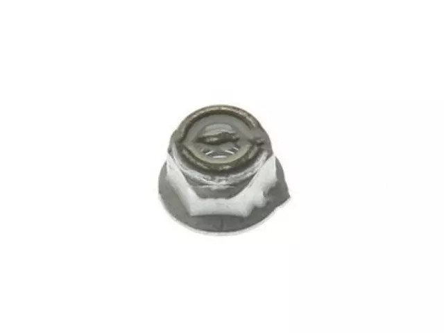 Genuine Ford Mirror Assembly Nut W520202S442