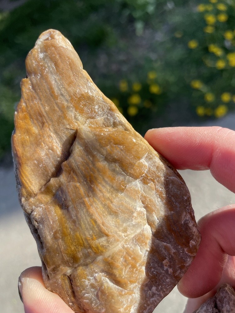 Super Unique, Faced/polished, Agatized/opalized petrified wood