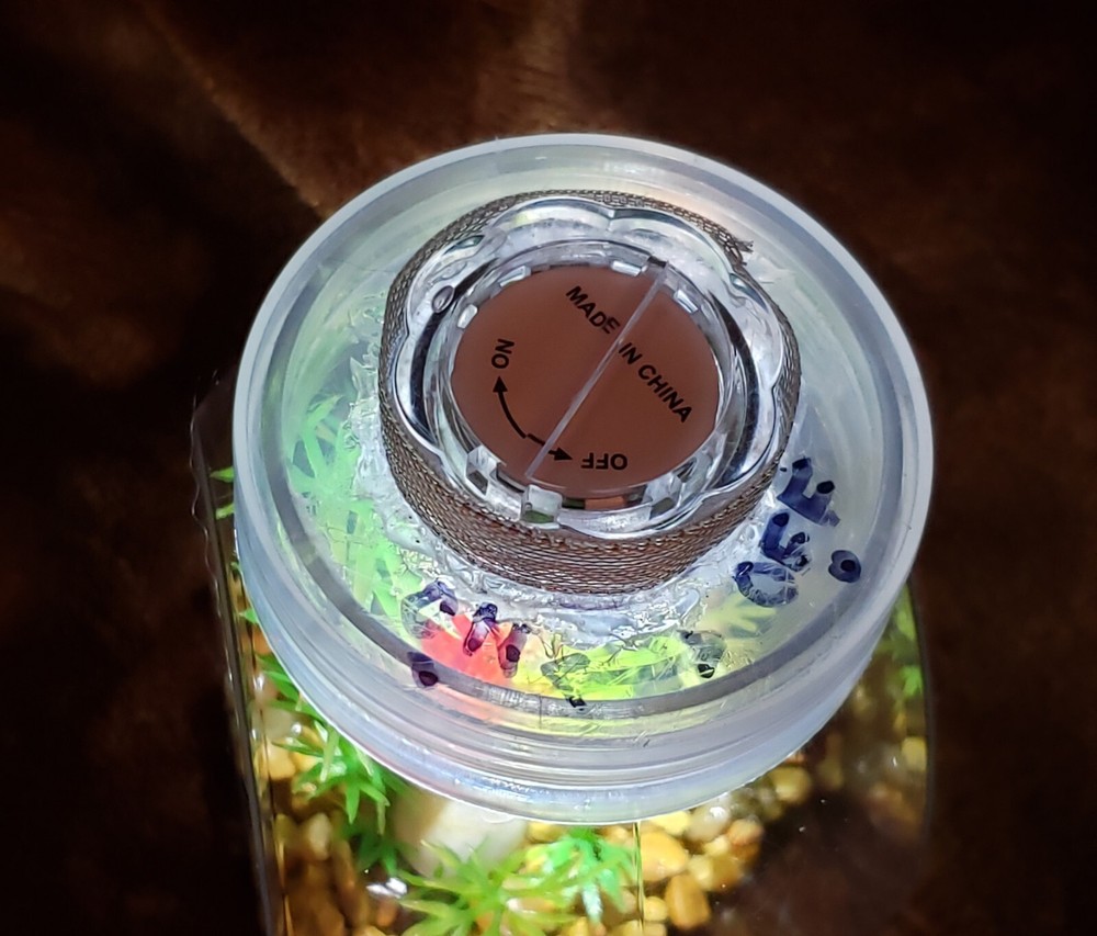 Bamboo Baby Goldfish Bowl