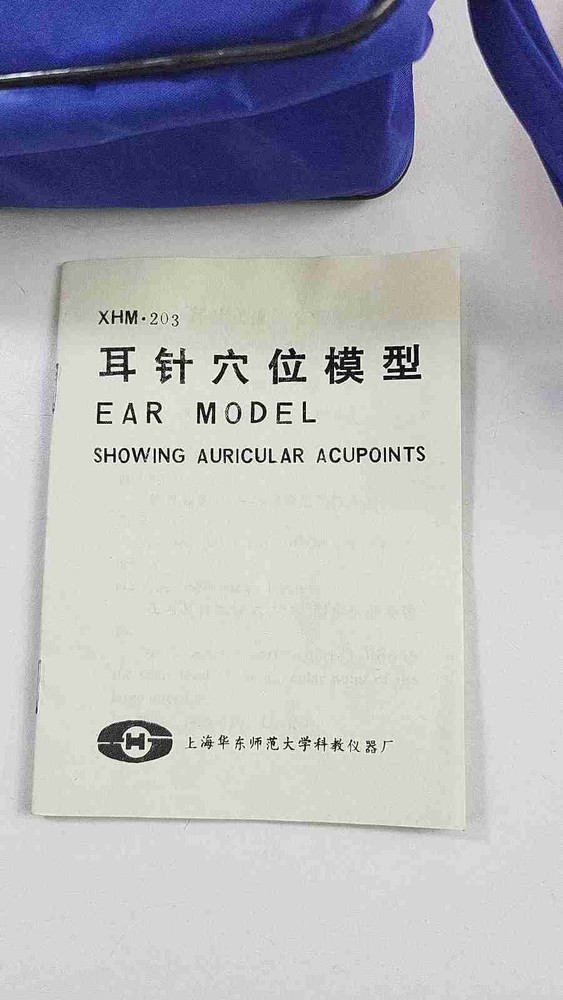 Acupuncture Ear Model - Reflexology - Teaching Aid With Stand, Book, & Bag
