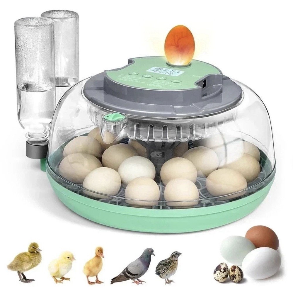 Egg Hatching Digital Automatic Turning 18 Egg Incubator With Egg Candling Light