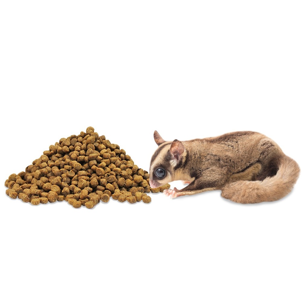 Exotic Nutrition Starter Package For Sugar Gliders High Protien