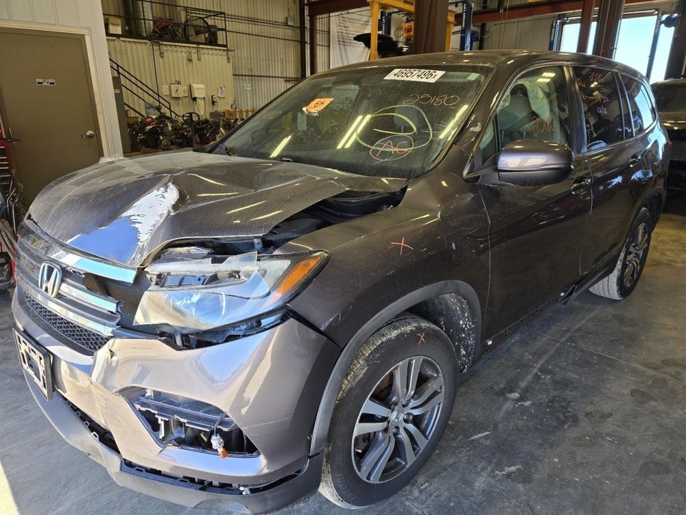 PILOT     2017 Jack 1552265