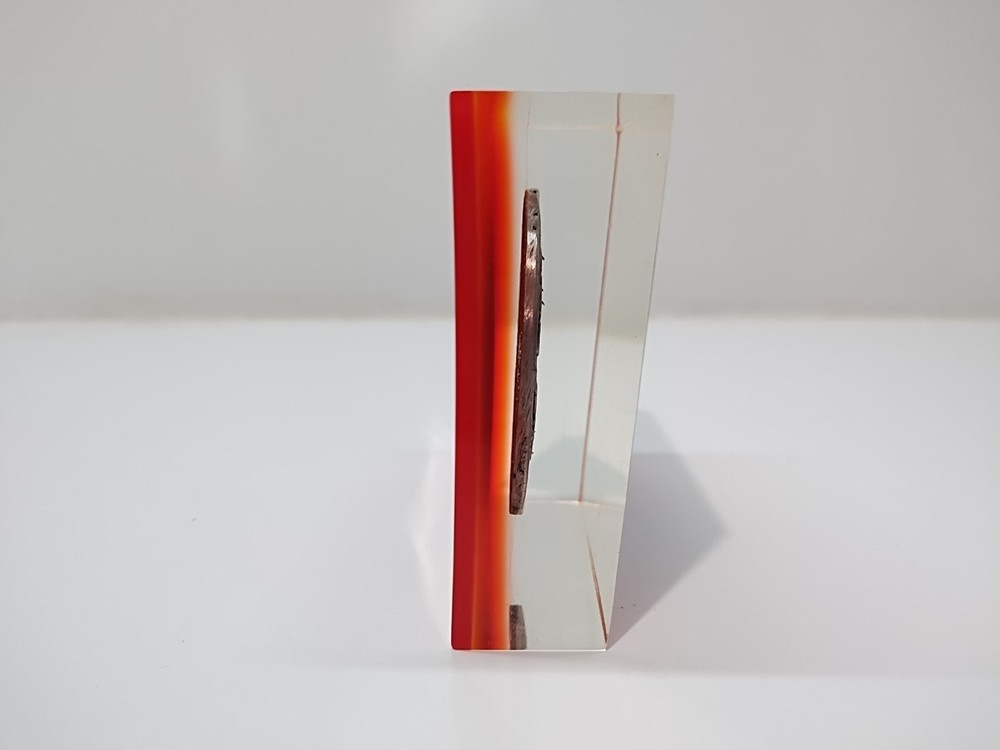 arkwright boston complete coverage quarter centry club award