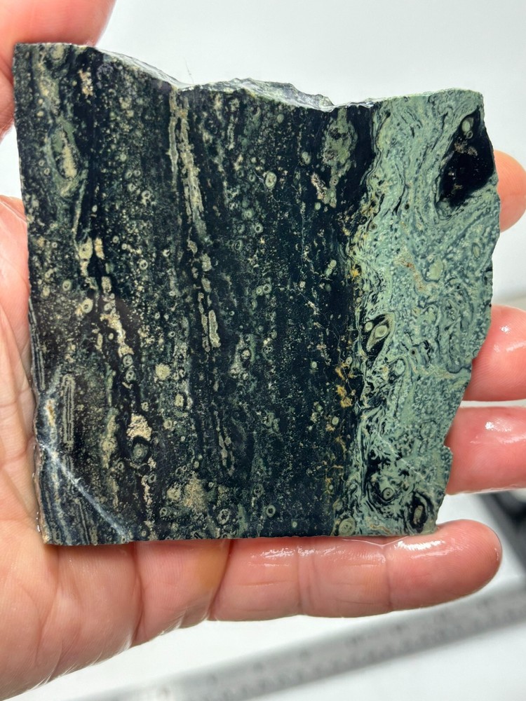 Kambaba Jasper Stromatolite Slab Lapidary Cabbing Combo Ship Avail