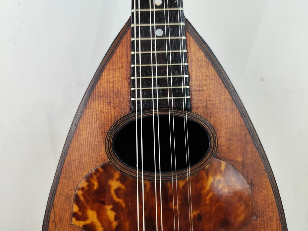 Mandolin 4/4 Michele Maratea (1894) Naples 曼陀林 만돌린マンドリン