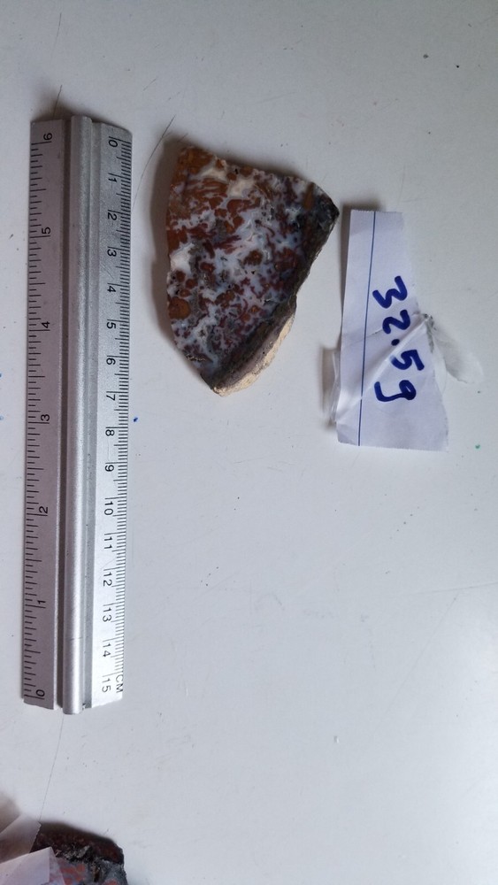 Wingate Pass - Plume Agate - Slab