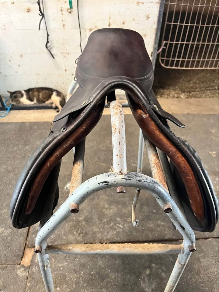 16" Beval Limited CC Saddle