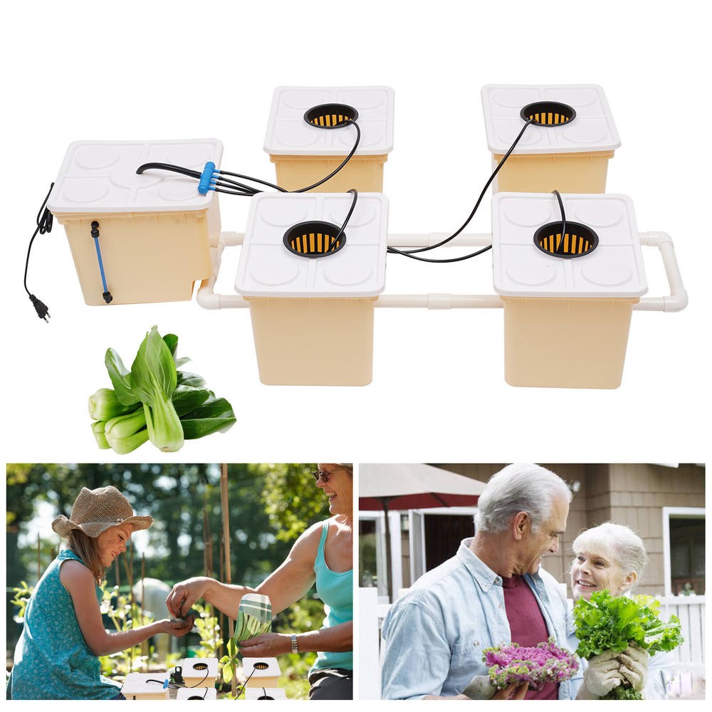 Hydroponics Deep Water Culture DWC Hydroponic System buckets Drip Growing System