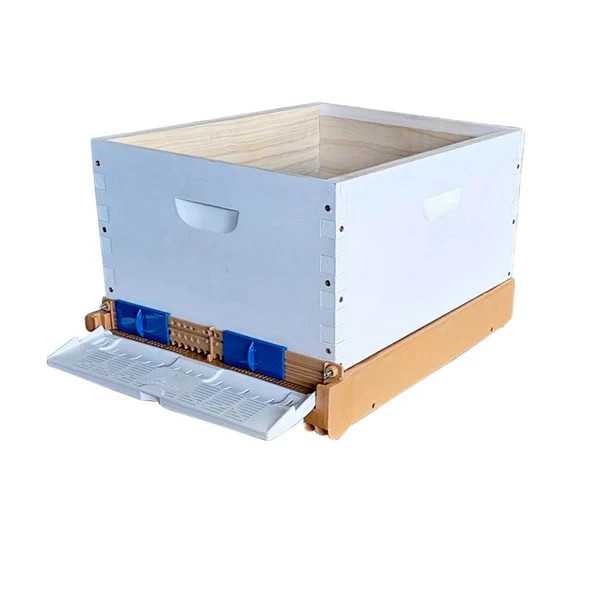 Mesh Bottom Board for Standard 10 Frames Box with Varroa Pest Control & Pollen T