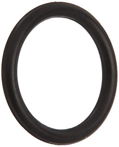 EF07 Pentair Letro O-Ring For Hose