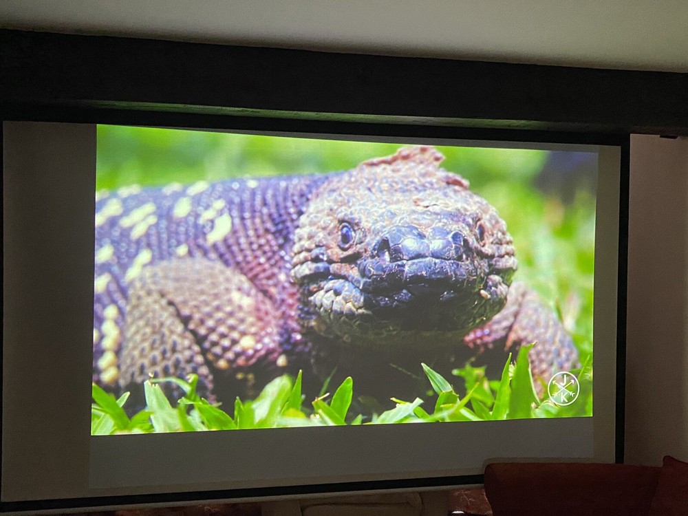 Sanyo PLC-XE20 LCD Projector With Remote