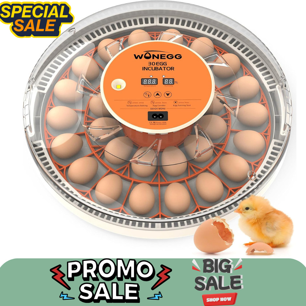 30 Egg Incubators for Hatching Eggs with Automatic Egg Turner, Auto Temperature