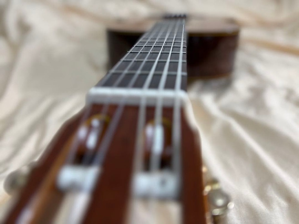 Takamine No.30 Classical Guitar Vintage Japan Nylon String