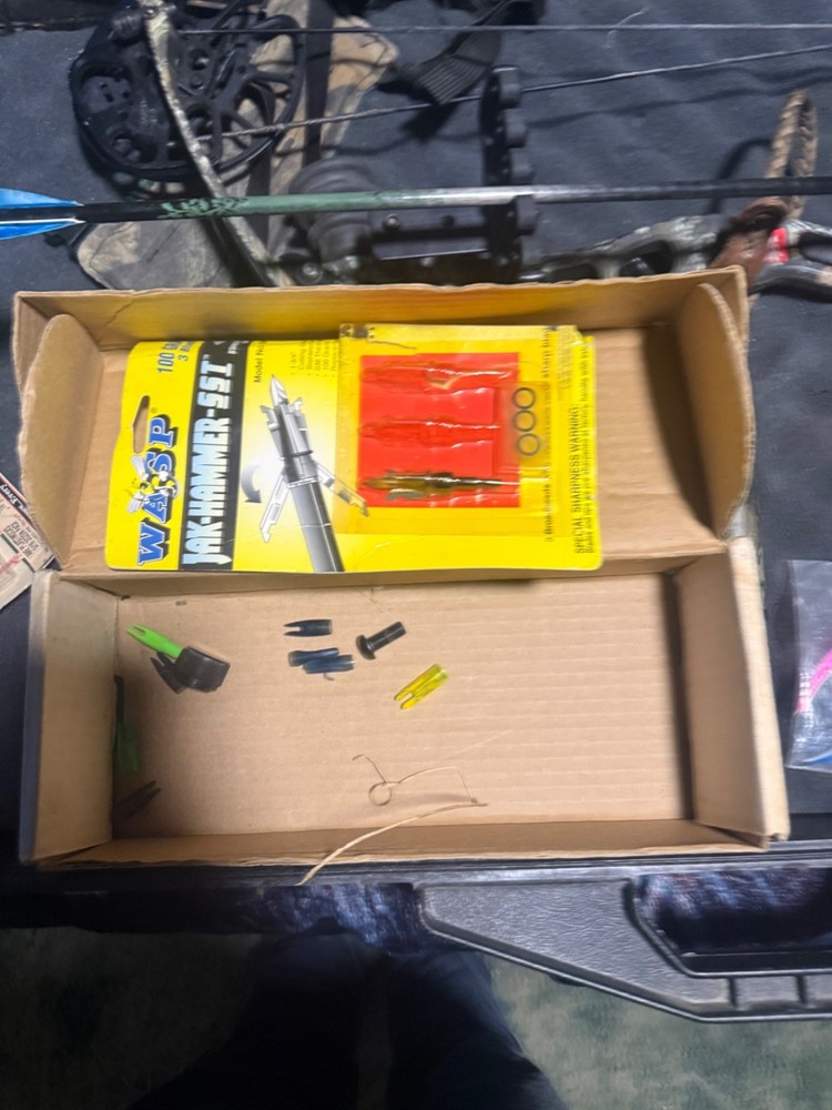 compound bows for hunting