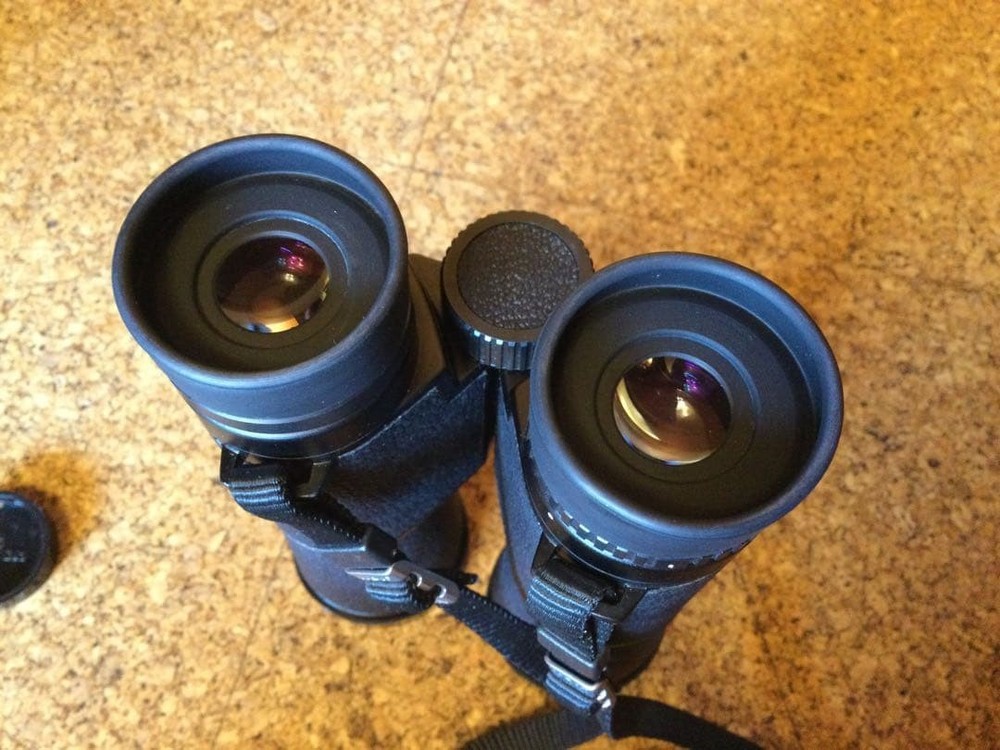 Nikon 12x36 5° Binoculars Bird Watching