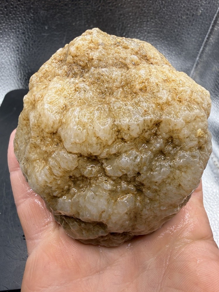 Ancient Fossilized Indiana Geode Botryoidal Agate 1,960 Carats