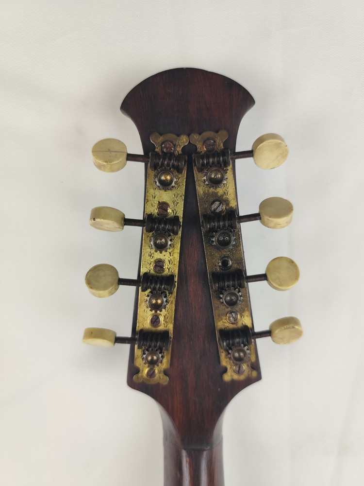 Mandolin 4/4 Vesuvius Naples 1926 曼陀林 만돌린マンドリン