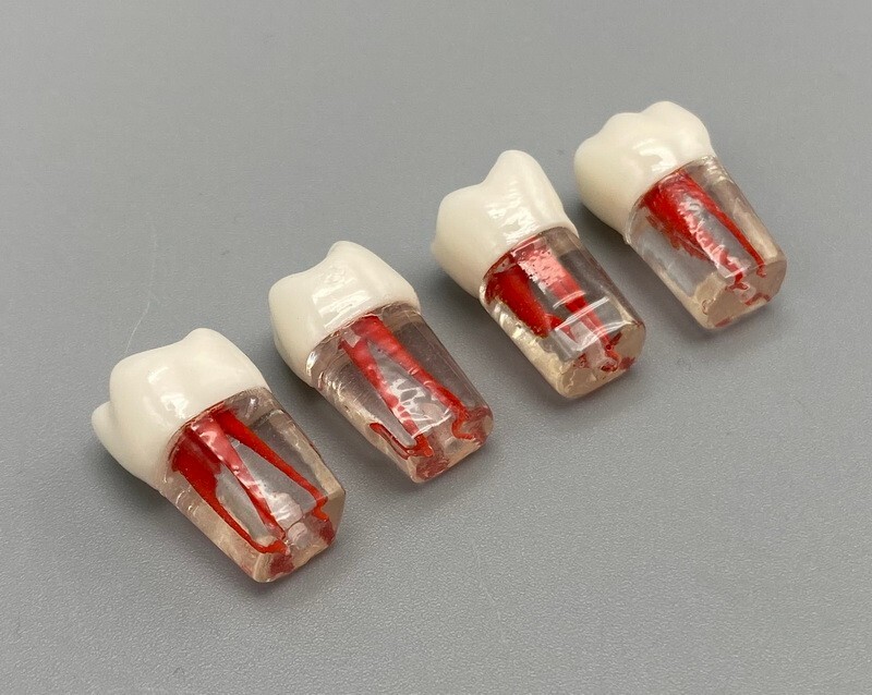 5pcs Dental Root Canal Teeth Study Practice Model Endodontic RCT Endo Pulp File